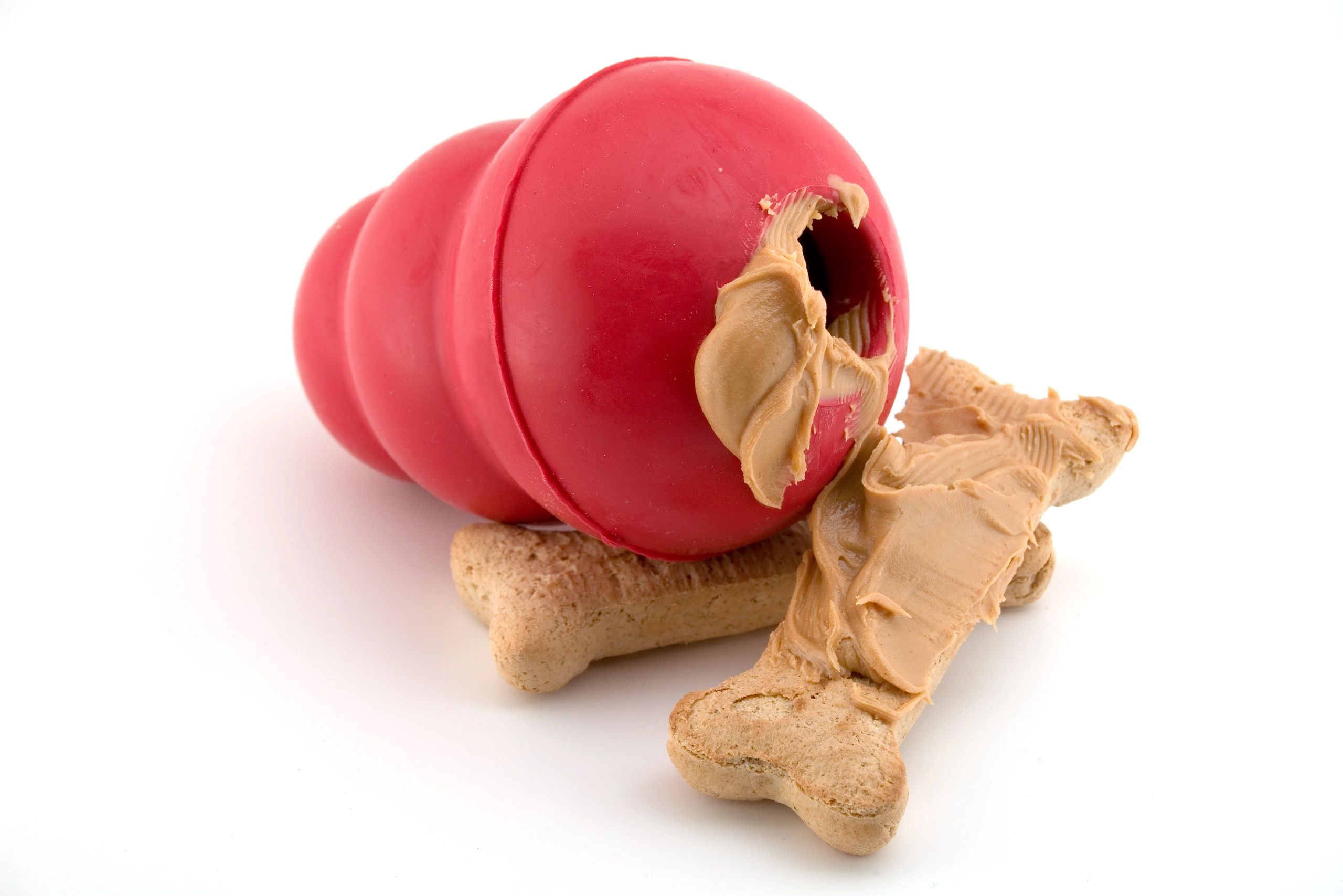 Peanut butter dog treats and toy