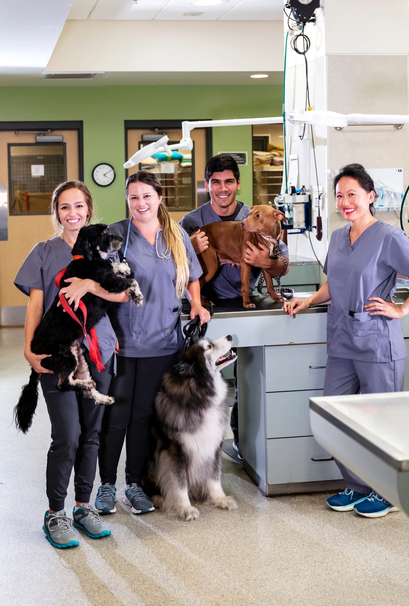 Pet care team member with dogs