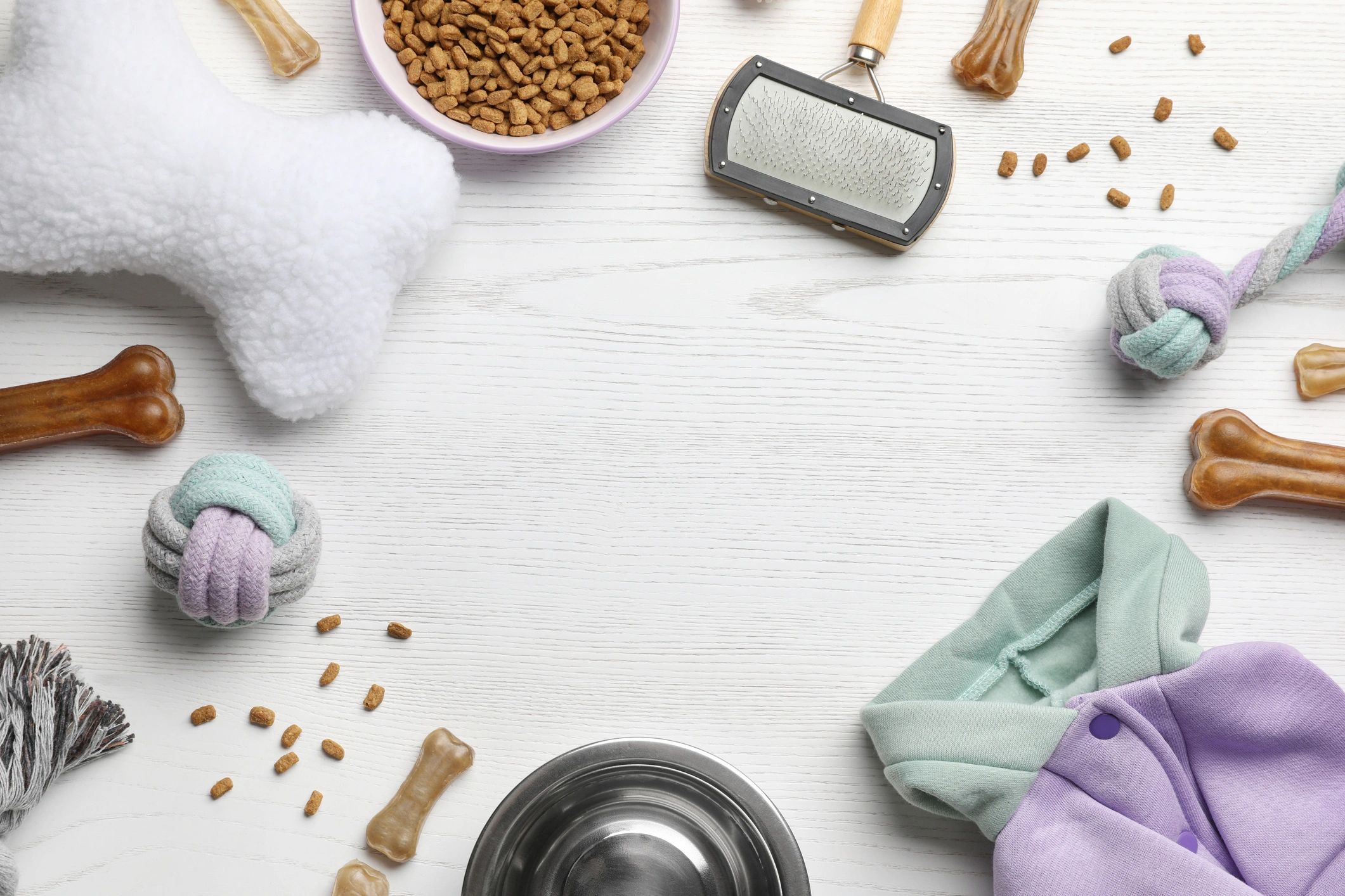 Flat lay of premium pet products and accessories
