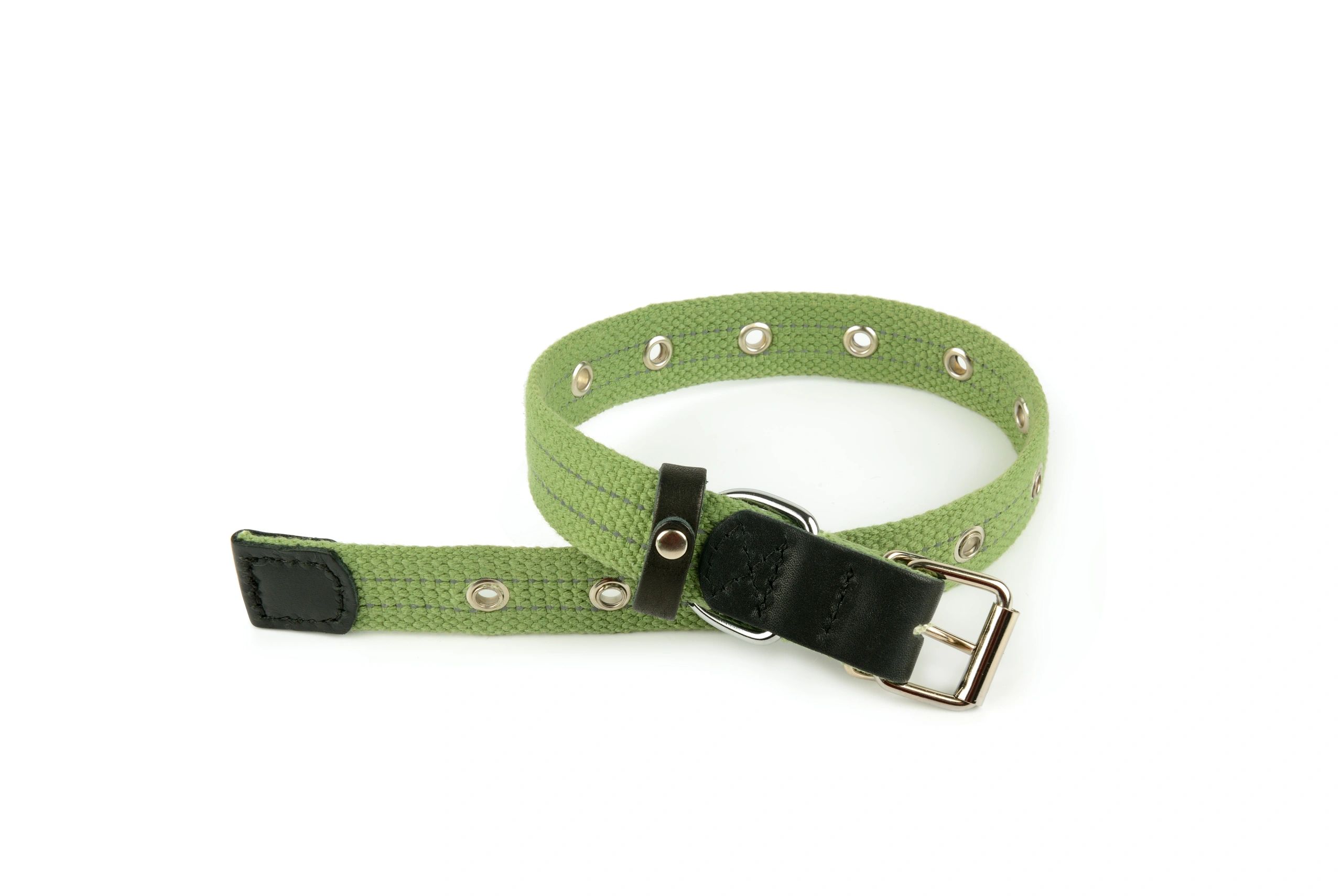 Green fabric dog collar on a white background